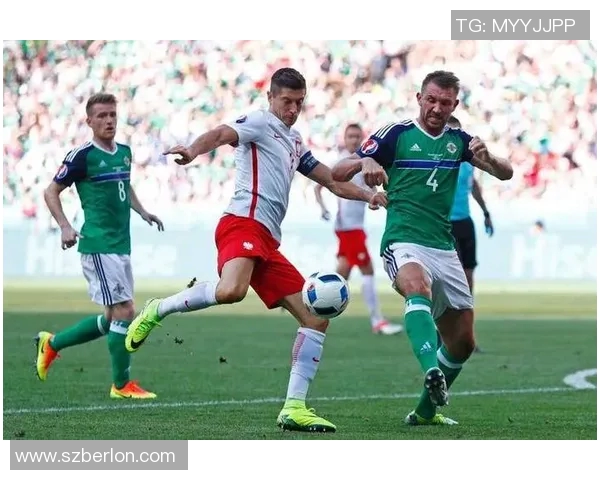 奥地利与波兰足球队球员名单详细对比分析与战术解析